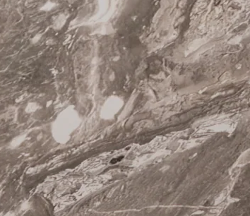 A closeup of taupe marble.