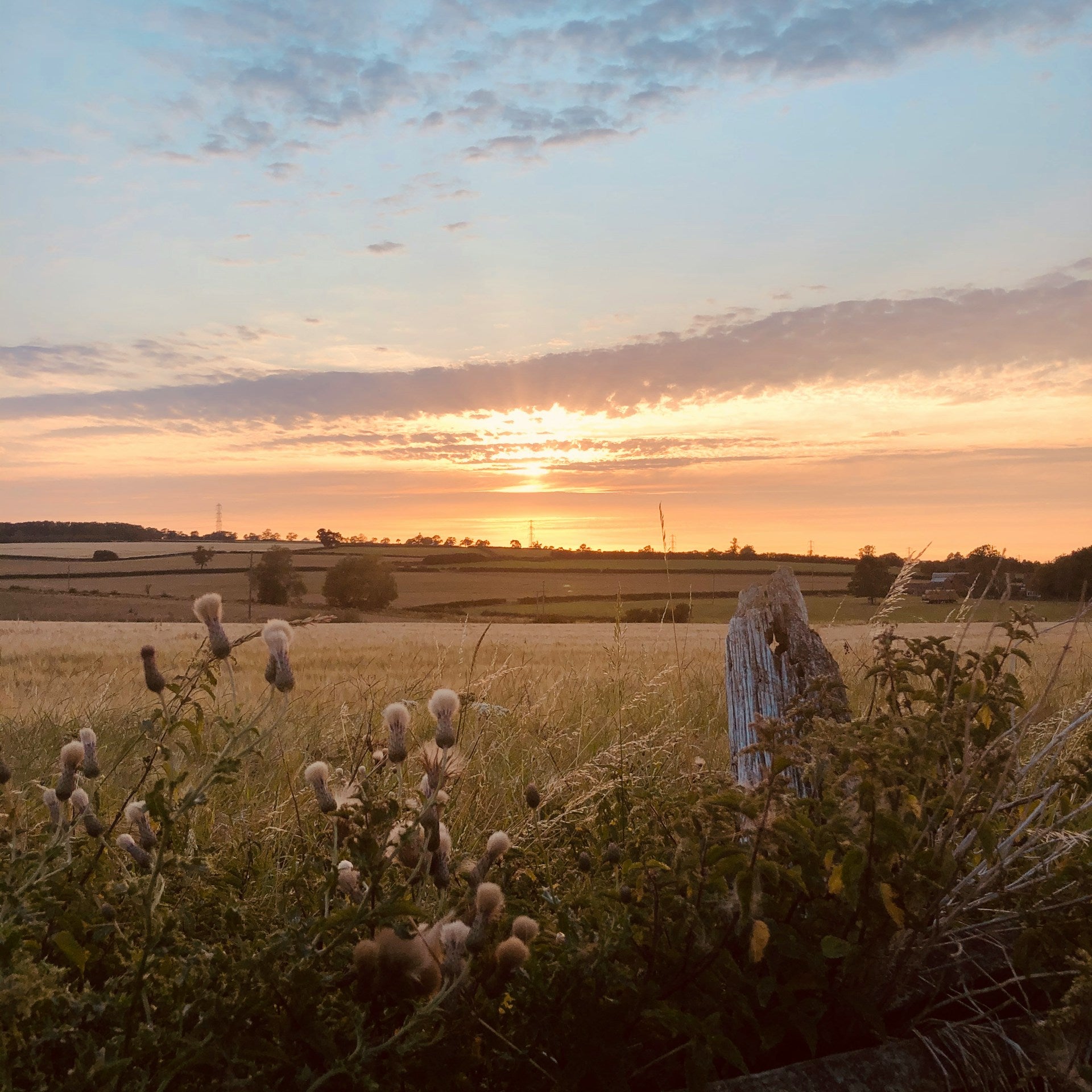 A sunset over a field of grass.
