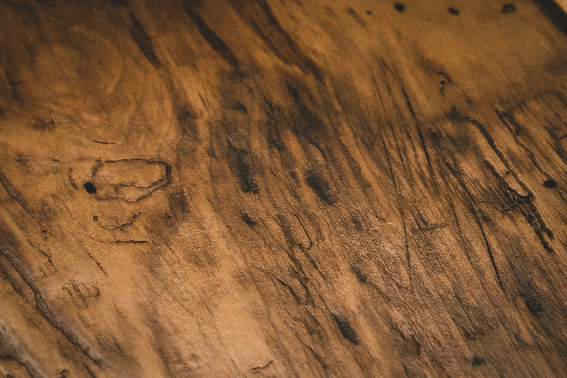 An organic wooden surface.