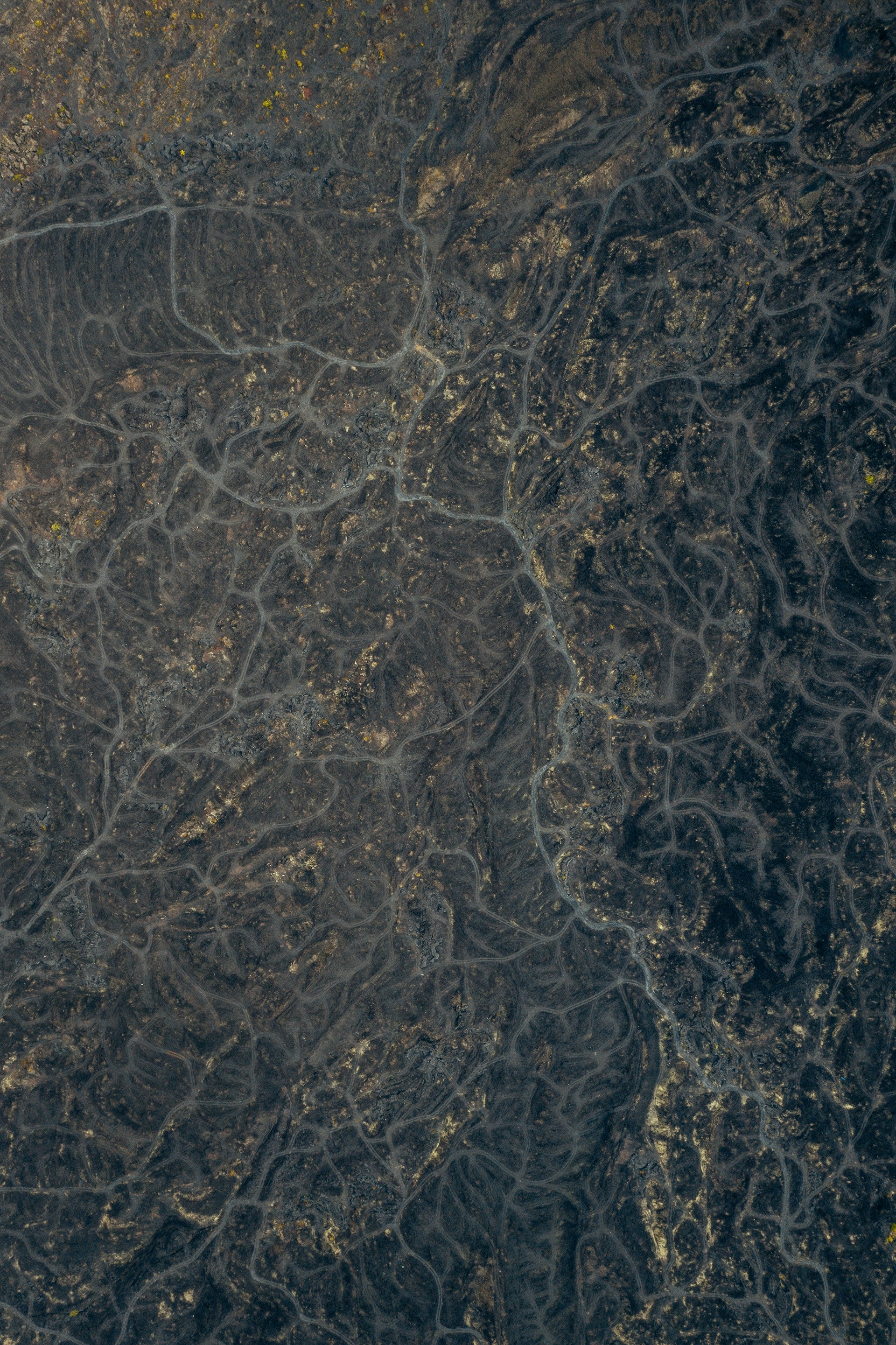 An aerial view of rivers flowing through the ground.