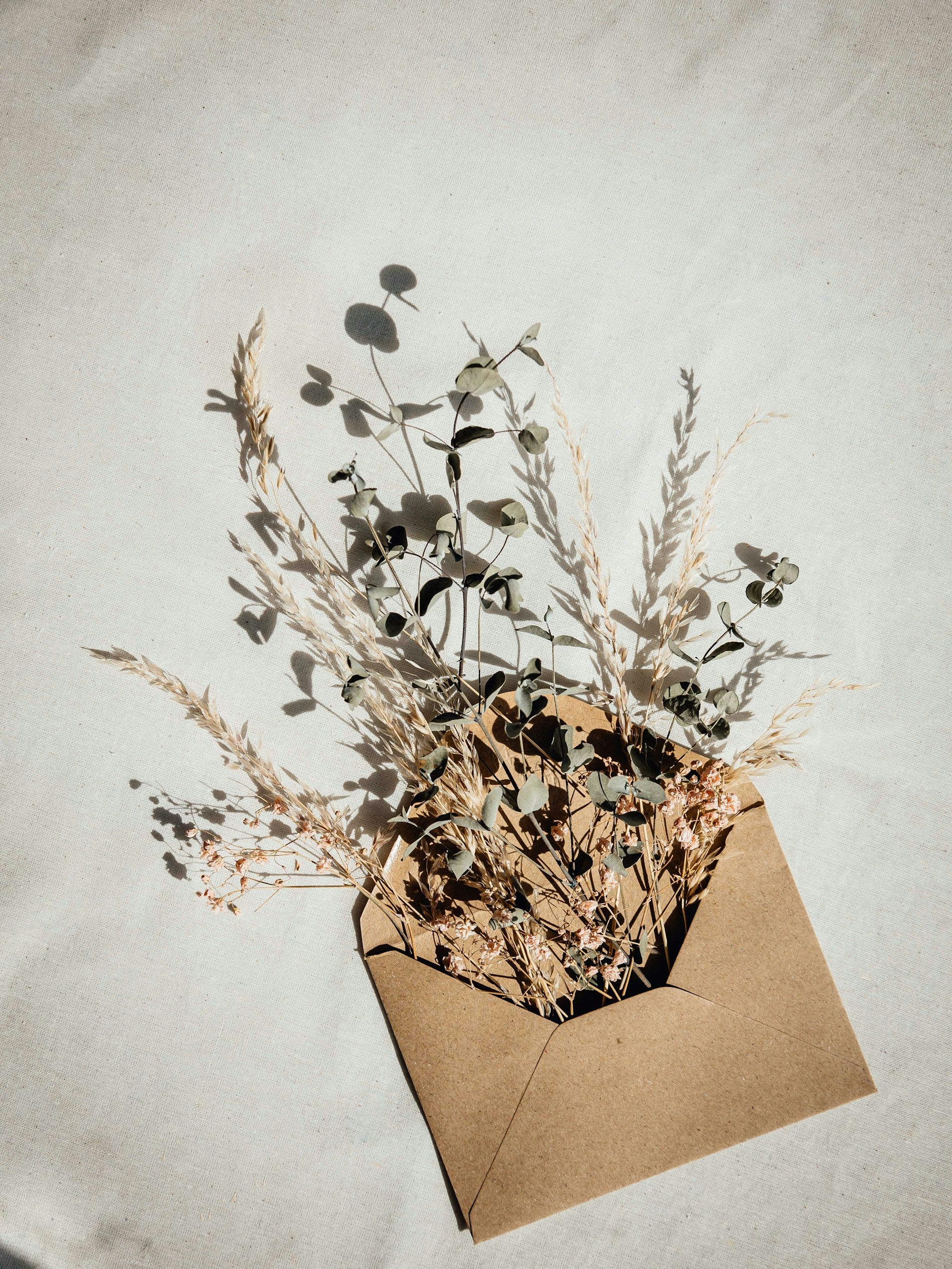 A brown envelope filled with dried flowers.